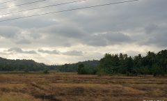 Roads of SRI LANKA: Katunayake–Dambulla