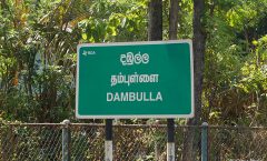 SRI LANKA: Прогулки по Дамбулле (Dambulla). Часть I