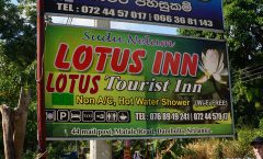 Обзор: Гостевой дом Lotus Inn Tourist Resort, Dambulla, Sri Lanka